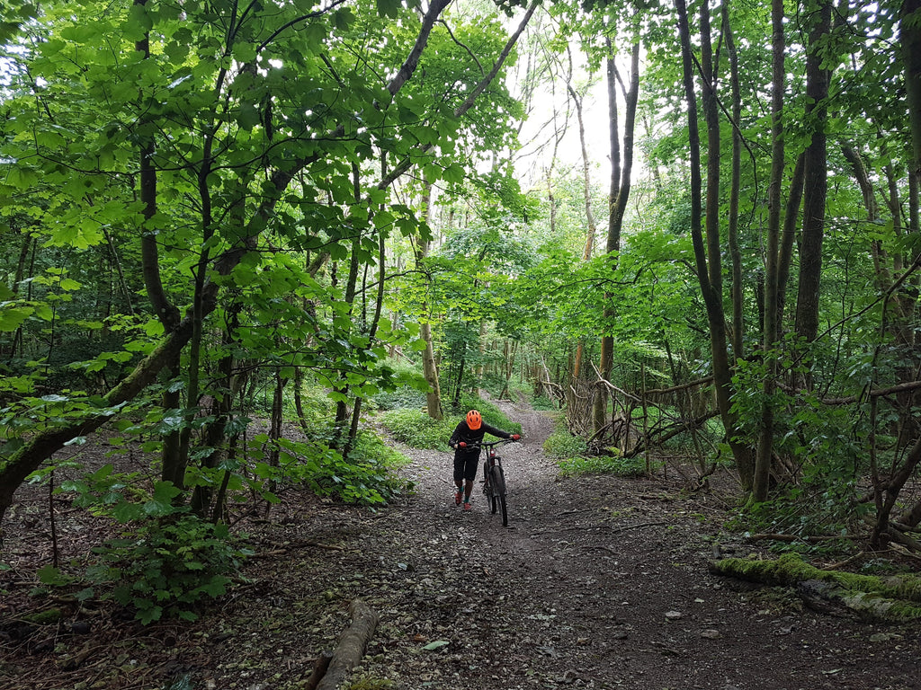 Hike a bike through the woods