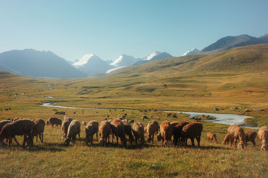 "Davai, davai!" into Kyrgyzstans Tian Shan.