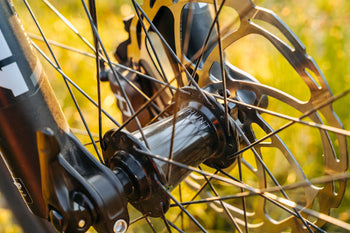 <h1>Bearings</h1><i>Our precision CNC hubs house double-sealed Revo bearings providing long service intervals. In addition, the free-spinning bearings maintain low levels of friction for an ultra-efficient ride and long life.</i>