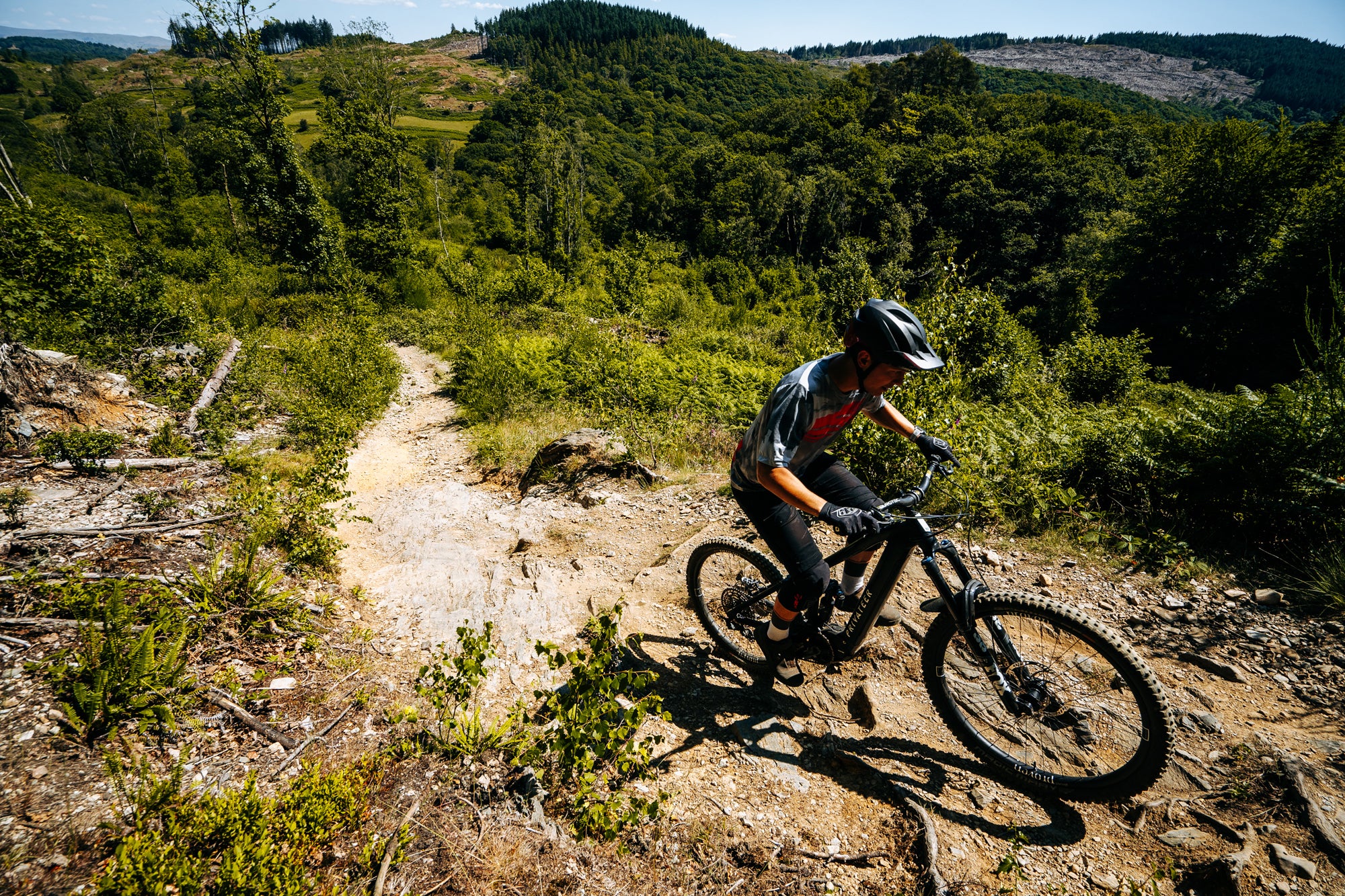 <h1>Phase-Engage</h1><i>Proven Carbon Race E_Enduro benefits from our EMTB specific, PhaseEngage 6x1 pawl freehub. Manufactured from steel, this 8-degree engagement freehub is built to handle the higher torque loads that modern electric mountain bikes are capable of producing.</i>