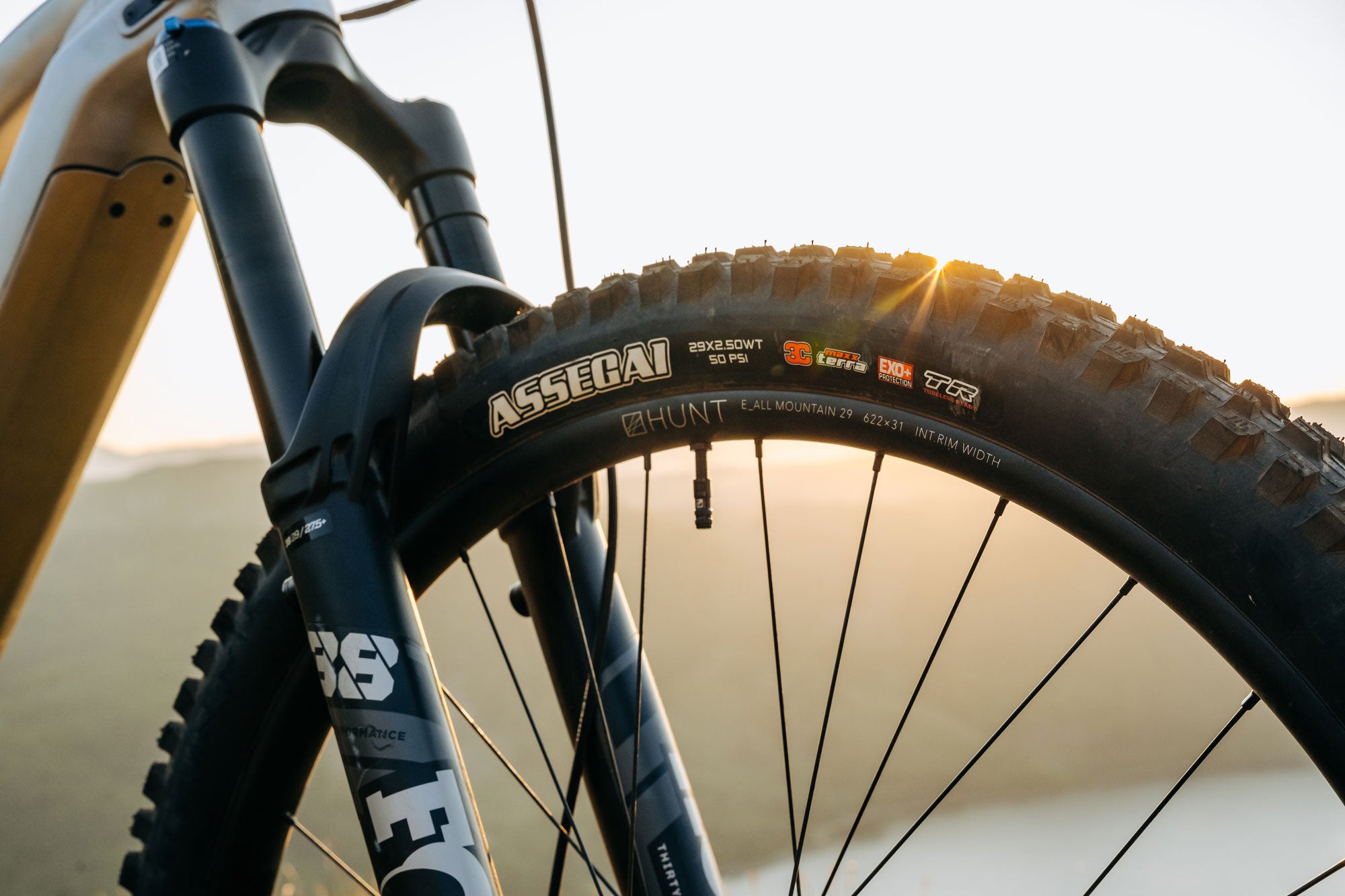 <h1>Internal Rim Width</h1><i>The wider 31mm internal rim width gives the perfect carcass shape to modern enduro and trail tires, optimizing braking traction and cornering performance.</i>
